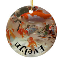 Christmas common and shubunkin goldfish