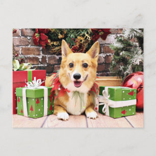 Christmas - Corgi - Pancake Feiertagspostkarte
