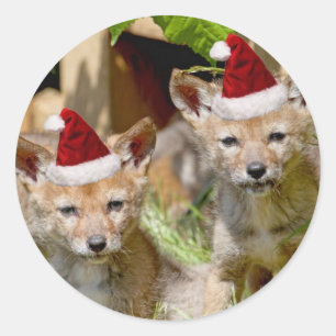 Christmas Coyote Pups Runder Aufkleber