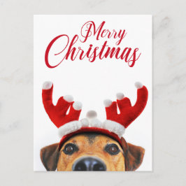 Christmas Dog Funny Niedlich Reindeer Antler Headb Feiertagspostkarte