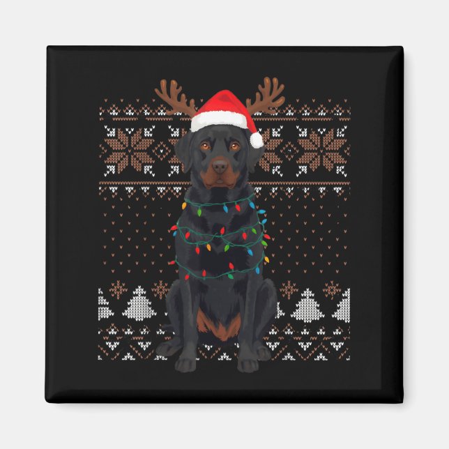Christmas Dog With Hat And Lights - Funny Holiday  Magnet (Vorne)
