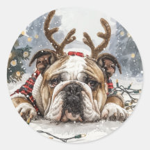 Christmas English Bulldog Reindeer