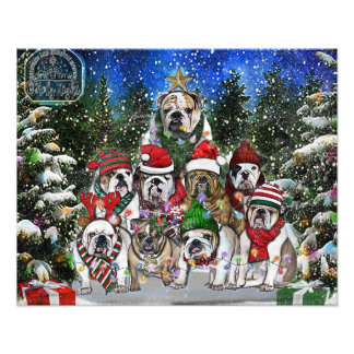 Christmas English Bulldog Tree Fotodruck