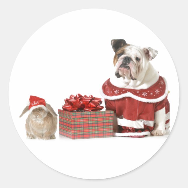 CHRISTMAS ENVELOPE STICKER BULLDOG UND BUNNY (Vorderseite)