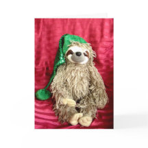 Christmas Foto Sloth