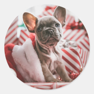 Christmas French Bull Dog - Frankreich Runder Aufkleber