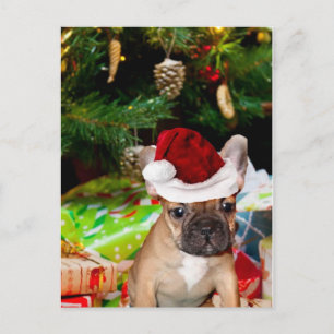 Christmas French Bulldog Feiertagspostkarte