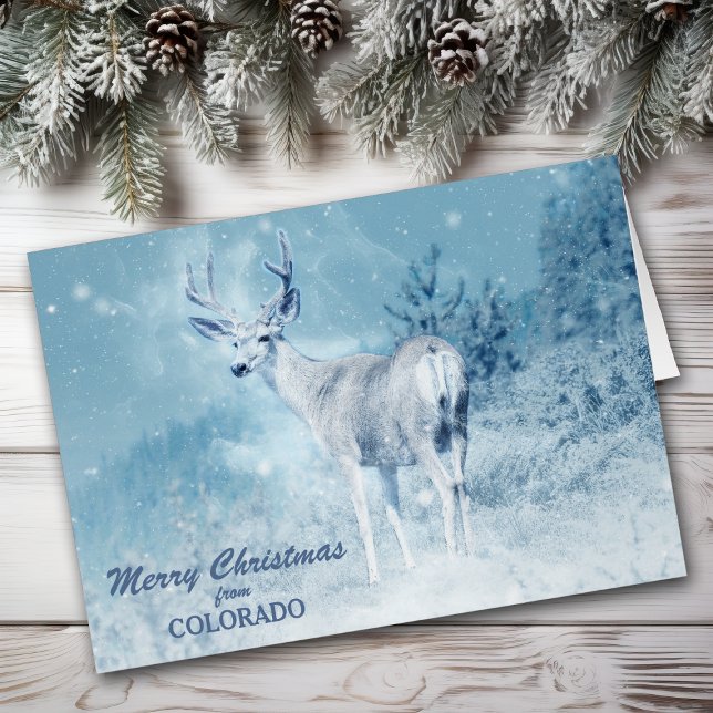 Christmas from Colorado Deer Christmas Card (Von Creator hochgeladen)