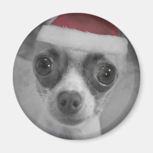 Christmas Funny Chihuahua Welpe mit Weihnachtsmann Magnet
