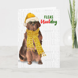 Christmas Funny Newfundland Fleas NaviDOG Feiertagskarte