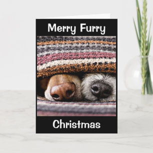 CHRISTMAS FÜR HUND/KATZE-GROOMER/VETERINARIER/MEHR KARTE