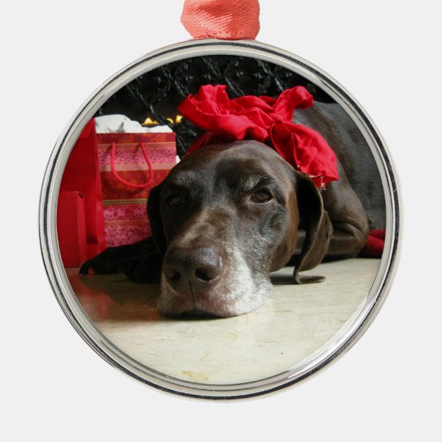 Christmas german shorthaired pointer silbernes ornament (Vorne)