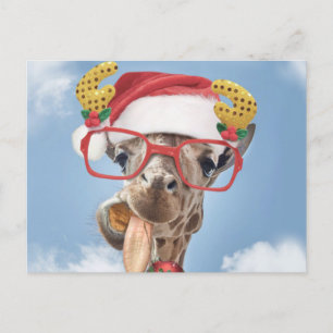 Christmas giraffe postkarte