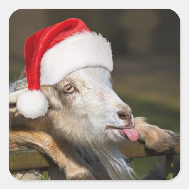 Christmas Goat Quadratischer Aufkleber (Vorderseite)