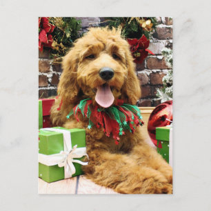 Christmas - GoldenDoodle - Claire Feiertagspostkarte