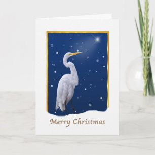 Christmas, Great Egret Bird, Star, Religious Feiertagskarte
