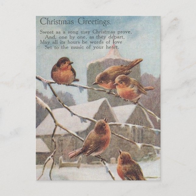 CHRISTMAS GREETINGS FIVE robins Postkarte (Vorderseite)