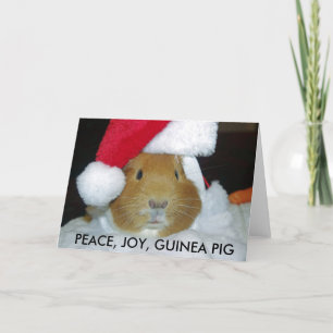 CHRISTMAS GUINEA SCHWEINKARTE FEIERTAGSKARTE