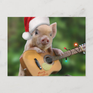 Christmas guitar pig postkarte