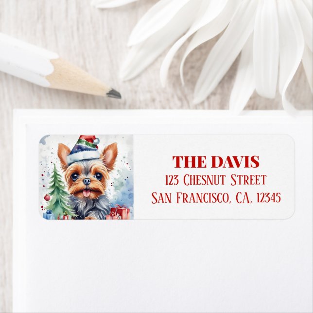 Christmas Hat Festive Yorkshire (Insitu)