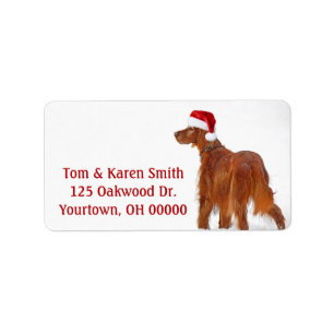 Christmas Irish Setter Adressaufkleber