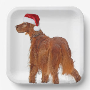 Christmas Irish Setter Pappteller