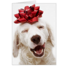 CHRISTMAS KARTE WHITE RETRIEVENT with RED BOW