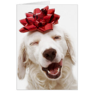 CHRISTMAS KARTE WHITE RETRIEVENT with RED BOW