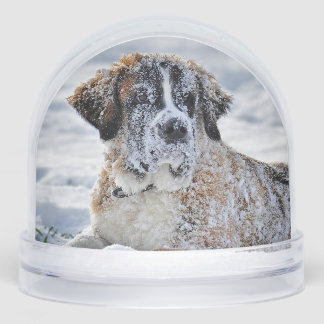 Christmas, Keepsake, or Memorial Custom Pet Photo Schneekugeln