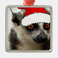 Christmas Lemur