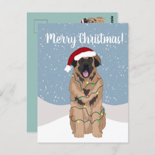Christmas Leonberger Postkarte