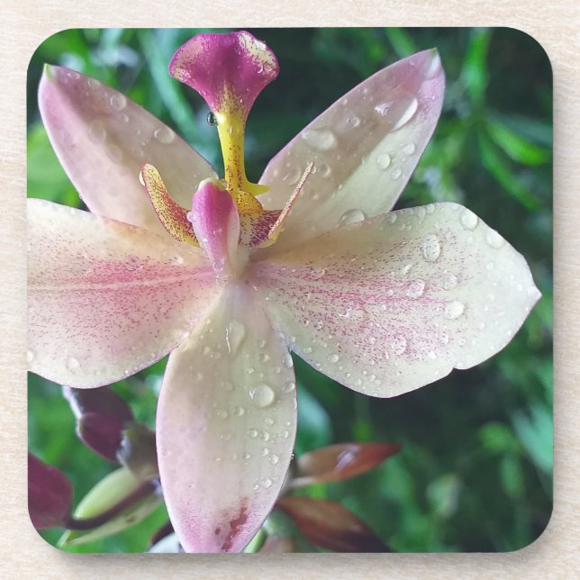 CHRISTMAS LOVE GIFT WOMEN , GIRLFRIEND MOM GETRÄNKEUNTERSETZER (Vorderseite)