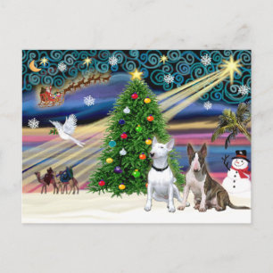 Christmas Magic Bull Terriers (two) Feiertagspostkarte