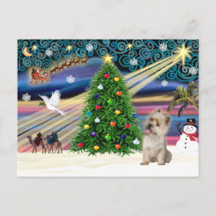 Christmas Magic Cairn Terrier (Weizen) Feiertagspostkarte