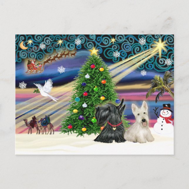 Christmas Magic Scottish Terriers (zwei) Feiertagspostkarte (Vorderseite)