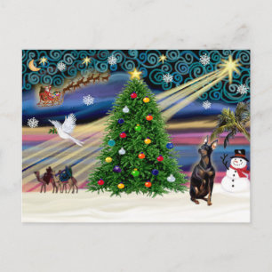 Christmas Magic Zwergpinscher (gestutzte Ohren) Feiertagspostkarte
