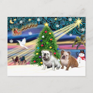 Christmas-Magie-Englische-Bullen (zwei) Feiertagspostkarte