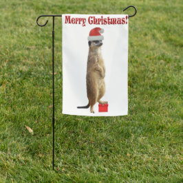 Christmas Meerkat