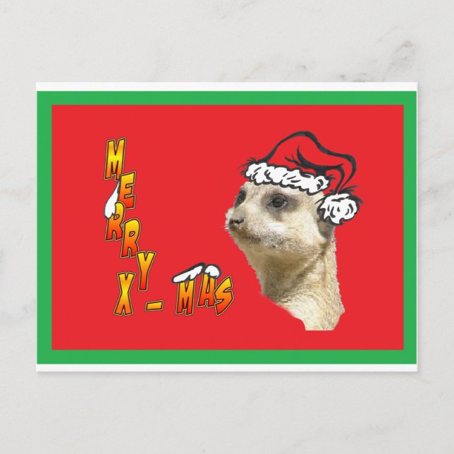Christmas Meerkat Rote Postkarte (Vorderseite)