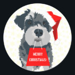 Christmas Mini Schnauzer Dog Weihnachtsmannmütze S Runder Aufkleber<br><div class="desc">Miniatur Schnauzer mit Weihnachtsmannmütze und einem Geschenksack mit Worten Frohe Weihnachten! Niedliches,  lustiges und einfaches Weihnachtsdesign. Kleine Schneeflocken im Hintergrund. Grau,  rot und weiß.</div>