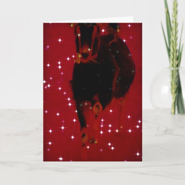 Christmas Misha Feiertagskarte (Vorderseite)