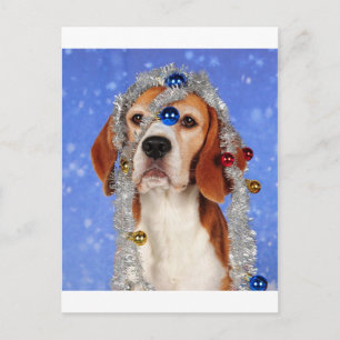 Christmas Mishap Feiertagspostkarte