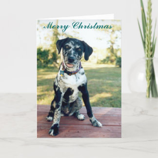 Christmas Nellie Feiertagskarte