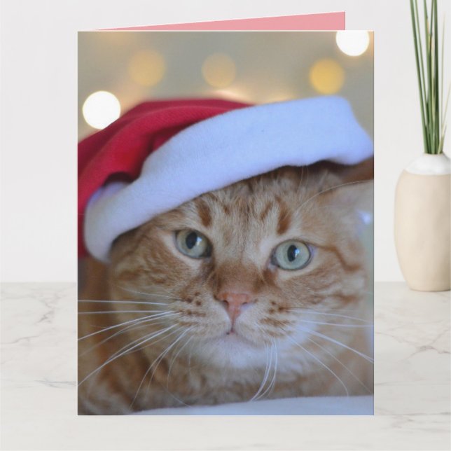 CHRISTMAS NIEDLICH GINGER CAT GREETKARTE DANKESKARTE (Vorderseite)