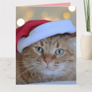 CHRISTMAS NIEDLICH GINGER CAT GREETKARTE DANKESKARTE