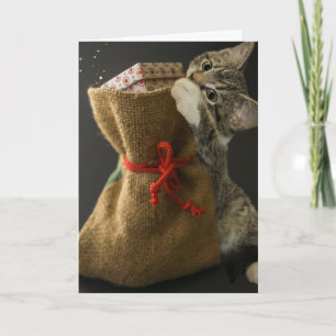 CHRISTMAS NIEDLICHE CAT-ÜBERRASCHUNGEN Grußkarte Karte