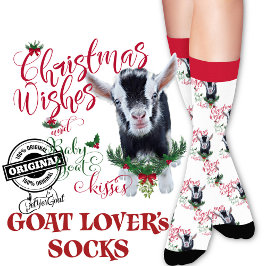 Christmas Nigerian Zwarf Baby Goat wünscht Socken