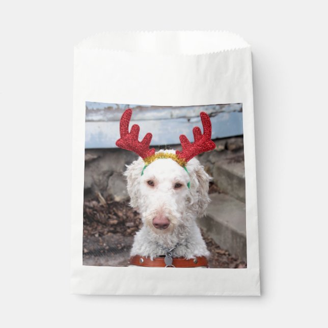 Christmas Ollie Geschenktütchen (Vorderseite)