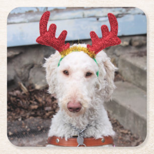 Christmas Ollie Rechteckiger Pappuntersetzer