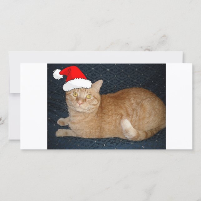 Christmas Orange Tabby Cat Feiertagskarte (Vorderseite)